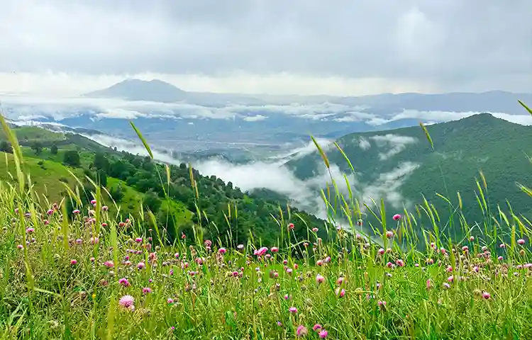 تور